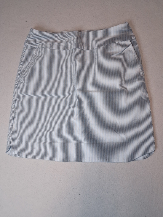 S.C. & Co. Dresses & Skirts - Blue and White Striped Sport Skort  Rayon